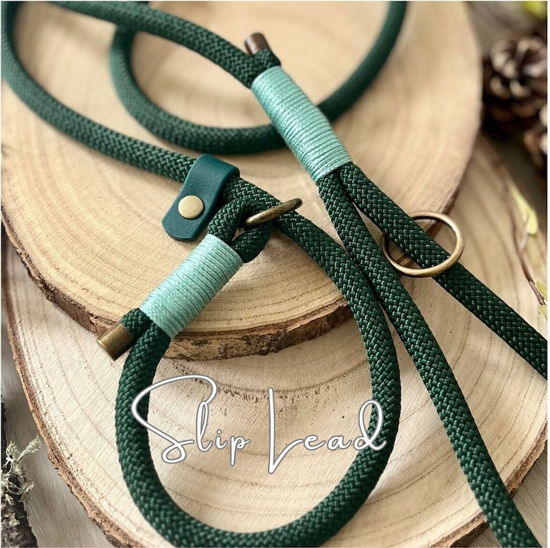 May include: A dark green rope slip lead featuring light mint green thread wrappings, a dark green leather tab with a brass-colored metal snap, and brass-colored metal hardware. The text "Slip Lead" is written in white cursive script.