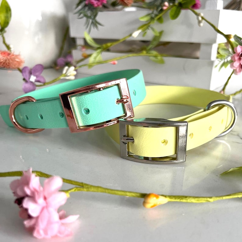 May include: Two pet collars, one mint green with rose gold hardware and one pale yellow with silver hardware. Each collar features a buckle, a D-ring for leash attachment, and multiple adjustment holes along the smooth, flat strap material.