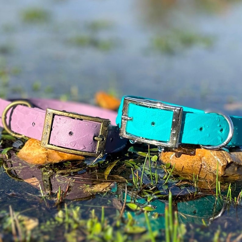 May include: Two pet collars, one in light purple and one in bright turquoise, each featuring a textured surface, a rectangular metal buckle, and a D-ring. The collars are positioned side by side, displaying a smooth finish with visible water droplets.