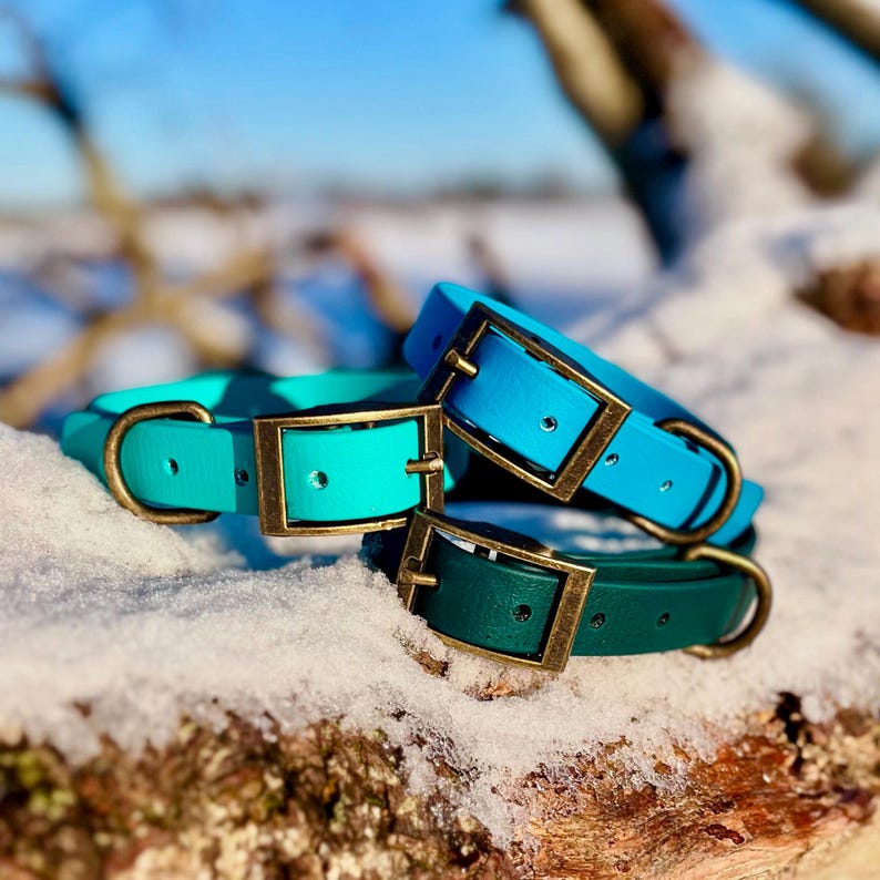 Three collars sitting on a snow covered log