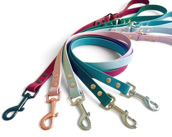 May include: A collection of five dog leashes in various colors including magenta, light pink, mint green, teal, and light blue. Each leash features a smooth, flexible strap, metallic rivets, and a sturdy metal swivel snap hook at the end.