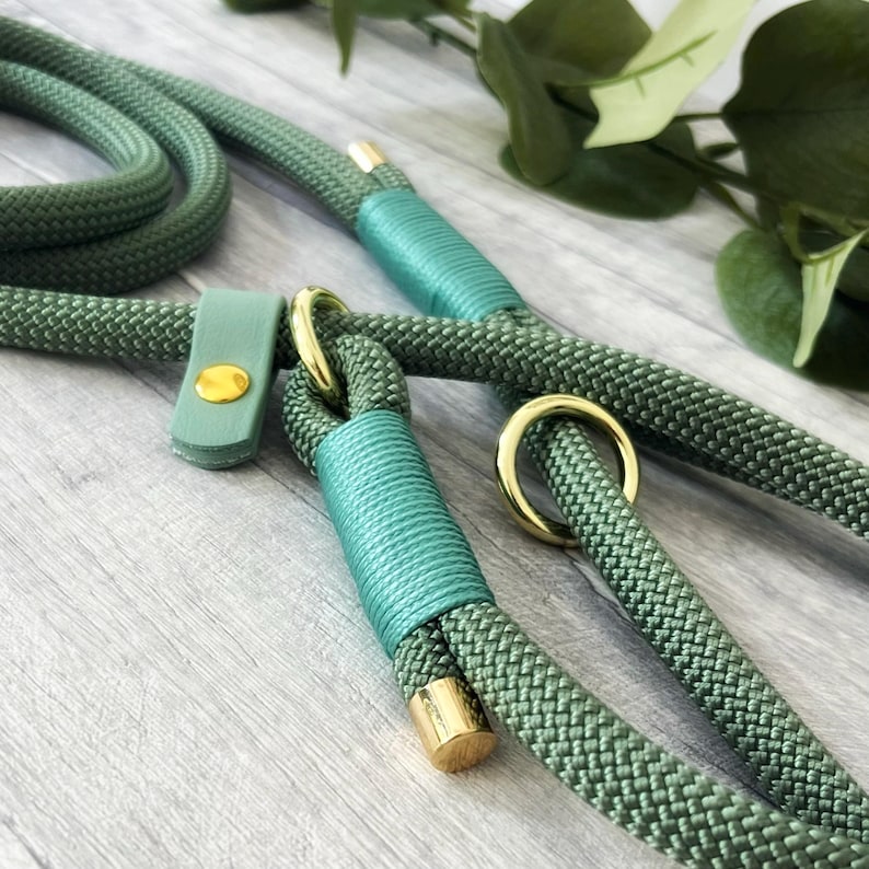 May include: A sage green braided rope dog leash featuring mint green leather accents, gold-toned metal rings, and a gold-toned metal rivet. The leash is constructed from a thick, textured cord with a smooth, uniform weave throughout the entire length.