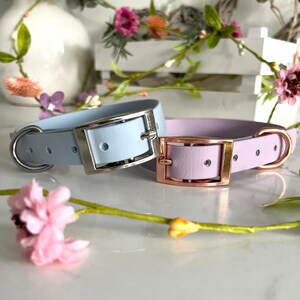 May include: Two pet collars, one light blue with a silver-toned buckle and D-ring, and one light purple with a rose gold-toned buckle and D-ring. Both collars feature a smooth, solid-colored strap with multiple adjustment holes for sizing.
