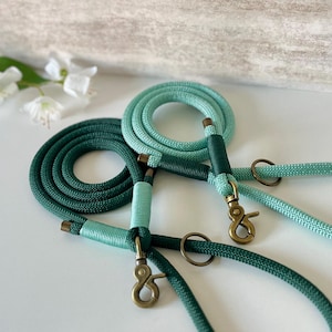 May include: Two braided rope leashes featuring brass-toned metal swivel clips and rings. One leash is dark forest green with light mint green accents, while the other is light mint green with dark forest green accents, both coiled on a surface.