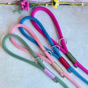 May include: Four braided rope leashes in magenta, blue, pink, and green. Each leash features a circular metal ring and a tightly wrapped cord section in a contrasting color, including purple, gold, red, and olive green accents at the base.
