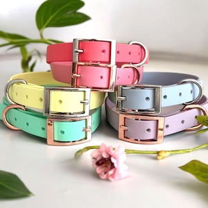 May include: A collection of five smooth, solid-colored pet collars in pastel shades of pink, yellow, mint green, light blue, and lavender. Each collar features a metal buckle and a D-ring, with some hardware in silver and others in rose gold finish.