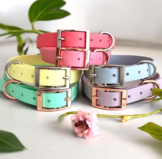 Custom Biothane Dog Collar: Waterproof, Durable, Design Your Own