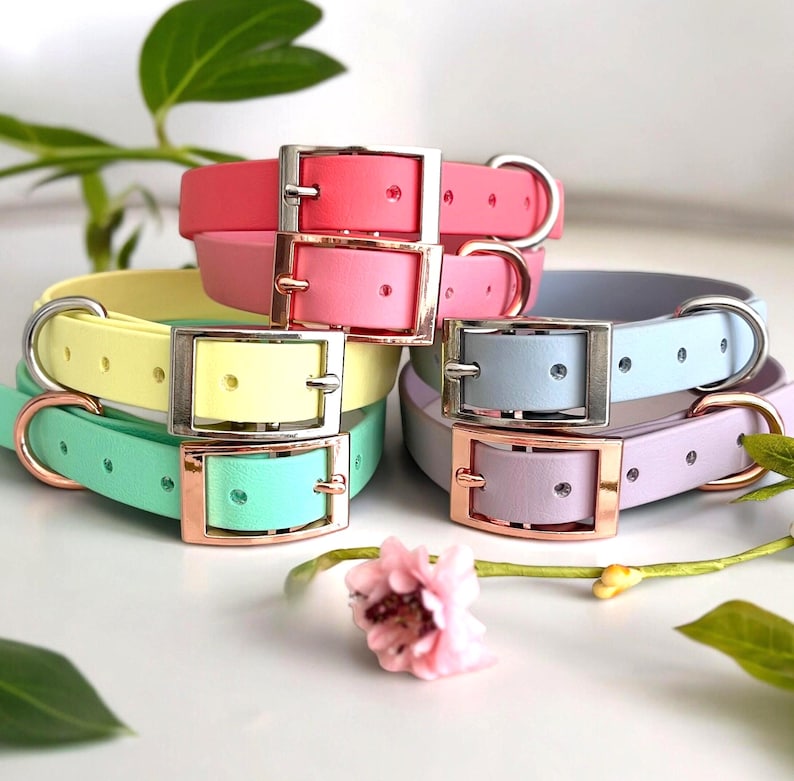 May include: A collection of five smooth, solid-colored pet collars in pastel shades of pink, yellow, mint green, light blue, and lavender. Each collar features a metal buckle and a D-ring, with some hardware in silver and others in rose gold finish.