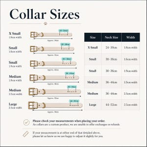 May include: A sizing chart for pet collars titled Collar Sizes, displaying six beige collars with gold buckles in sizes X-Small to Large. A table lists neck sizes from 24-52cm and widths of 1.6cm, 1.9cm, and 2.5cm. Text includes measurement instructions.