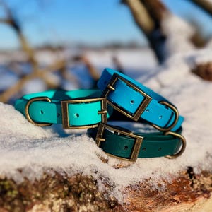 May include: Three collars in shades of teal, bright blue, and dark green, each featuring a smooth, matte finish and a rectangular brass-toned metal buckle with a matching D-ring for attachment, arranged in a stacked formation.