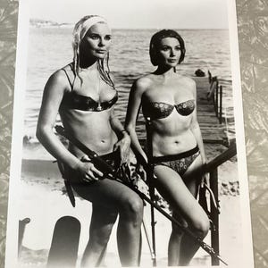 Vintage Elke Sommer Actress Pink Panther Publicity Still Photo 8x10 #5 image 1