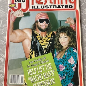 Vintage Dell Pro Wrestling Illustrated Magazine November 1991 Issue