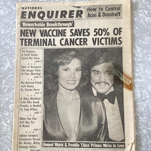 Raquel Welch Cover - Etsy
