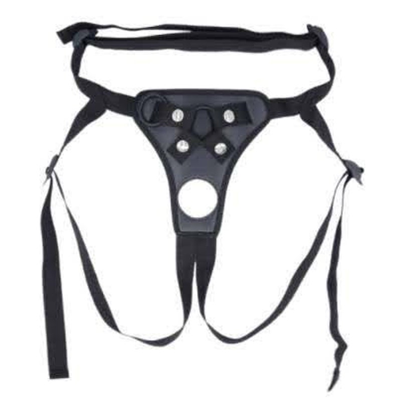 May include: Black leather harness with adjustable straps and a metal ring. The harness has a D-ring on the front and a buckle on the back.