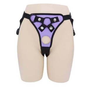 May include: Purple and black adjustable harness with metal rings and buckles.