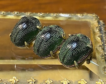 Scarab Brooch ~ Egyptian Revival