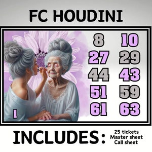 Prises de bingo Houdini pleine carte