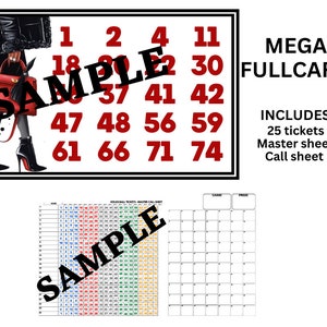 Prises de bingo avec carte MEGA Full