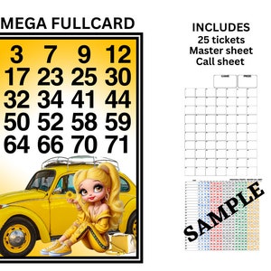 Mega Bingo voor volle kaarten
