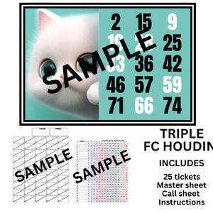 Prises de bingo à cartes complètes Triple Houdini