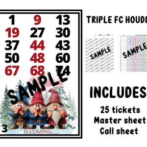 Prises de bingo à cartes complètes Triple Houdini