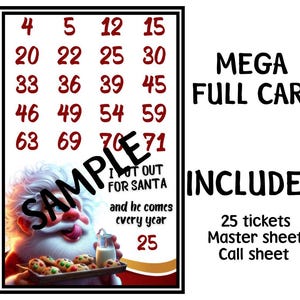 Mega Bingo voor volle kaarten