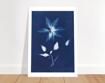 Cyanotype flower print blue and white vintage style beautiful for home decor rustic wall decor calm for mom botanical nature's blue print