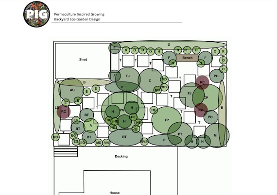 Backyard Eco Garden - preplanned permaculture garden design, food forest, edible landscaping, companion planting, regenerative system, Trees