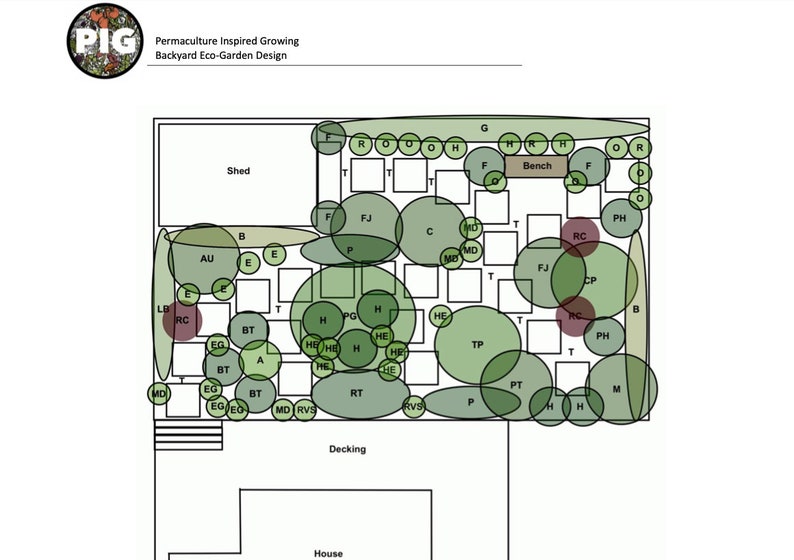 Backyard Eco Garden - preplanned permaculture garden design, food forest, edible landscaping, companion planting, regenerative system, Trees image 1