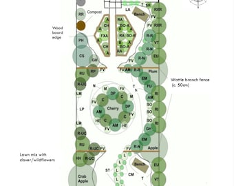 Perennial Garden - pre-made garden, ready made permaculture design, eco landscape, sustainable backyard, regenerative, flourishing conscious