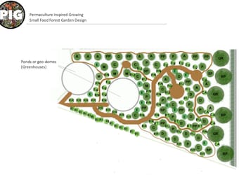 Liten matskogsträdgård - Förplanerad ekologisk permakulturdesign, mjuk trädgårdsodling, markplanering, självförsörjning i trädgården, hållbar