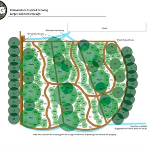 Large Food Forest - ready made, pre-made, permaculture garden design, food forest, companion planting, abundant landscape, medicine, growing
