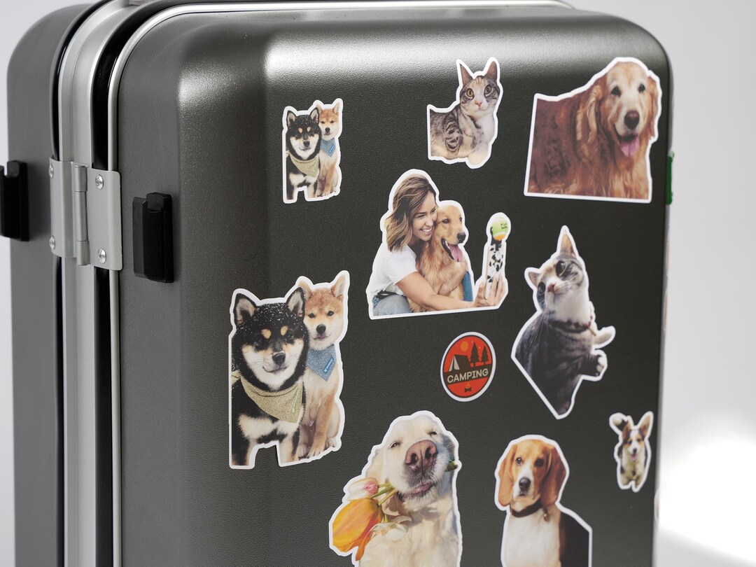 Custom Pet Stickers: Waterproof Vinyl Decals, Personalized Pet Lover ...