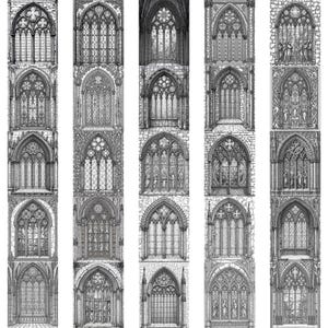 May include: A black and white illustration featuring a series of Gothic-style windows. Each window design is unique, showcasing intricate tracery, arches, and stone detailing. The artwork evokes a sense of historical architecture and craftsmanship.