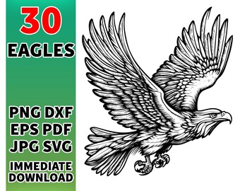 Eagle Head SVG Bundle: Bird of Prey Decals (30 Digital Designs)