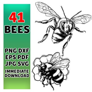 May include: Two black and white line drawings of bees. One bee is flying and the other is on a honeycomb.