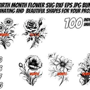 25 Birth Month Flower SVG DXF JPG Bundle, Cut Files Cricut, Birth Month Clipart, Flower Graphic, Birth Month Vector, Flower Silhouette