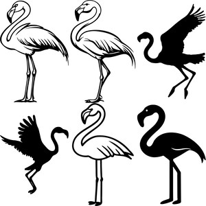 May include: Six black and white illustrations of flamingos. Three flamingos are standing with their necks curved, and three flamingos are in flight with their wings spread.