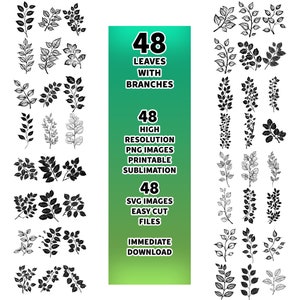 May include: A set of 48 black and white illustrations of leaves with branches. The illustrations are high resolution PNG images and easy cut SVG files. The text on the image reads: "48 Leaves with Branches, 48 High Resolution PNG Images Printable Sublimation, 48 SVG Images Easy Cut Files, Immediate Download."
