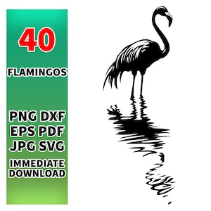 Può includere: Silhouette in bianco e nero di un fenicottero rosa in piedi nell'acqua con il suo riflesso visibile. Il fenicottero rosa ha un collo lungo e gambe lunghe. L'acqua è increspata e testurizzata.