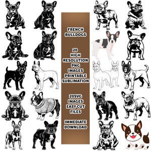 French bulldog svg bundle Dog svg files for Cricut French bulldog clipart Vector Image printable png full body ears head