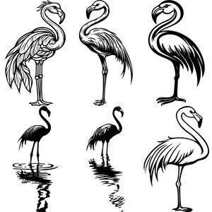 May include: A set of six black and white illustrations of flamingos in various poses. The flamingos are depicted in a simple, stylized manner, with their long necks and legs extended.