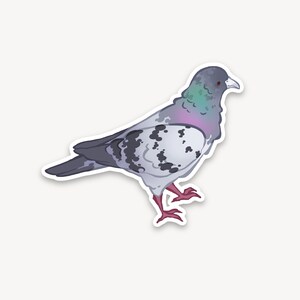 Taube - Critter Sticker