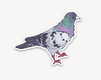 Könnte beinhalten: Eine Cartoon-Illustration einer grauen und weißen Taube mit rosa Schnabel und Beinen. Die Taube steht auf einem weißen Hintergrund.