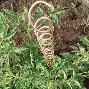 Copper Coils for Gardening - Etsy