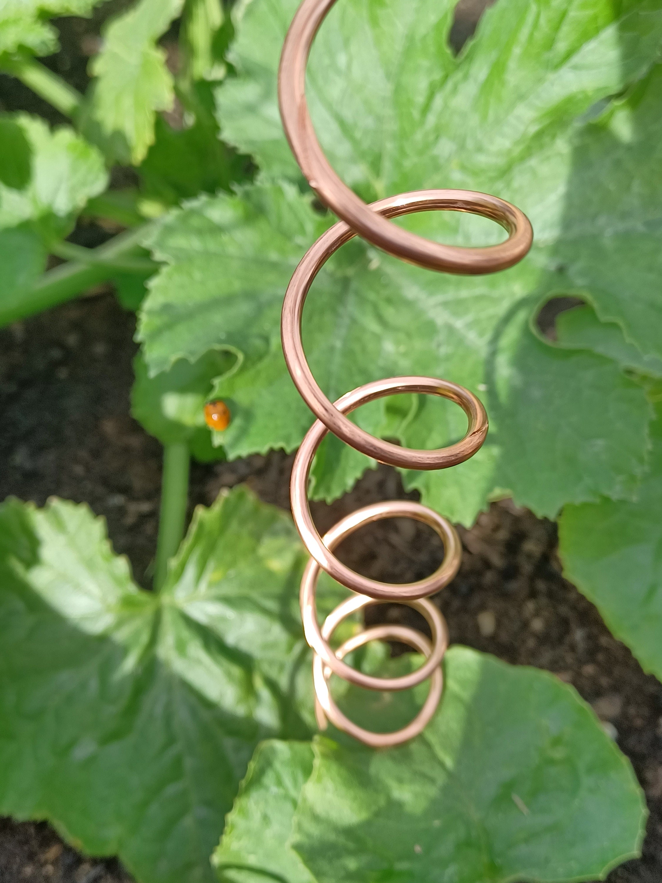 Electroculture Gardening with Copper Antennas. What's all the Fuss