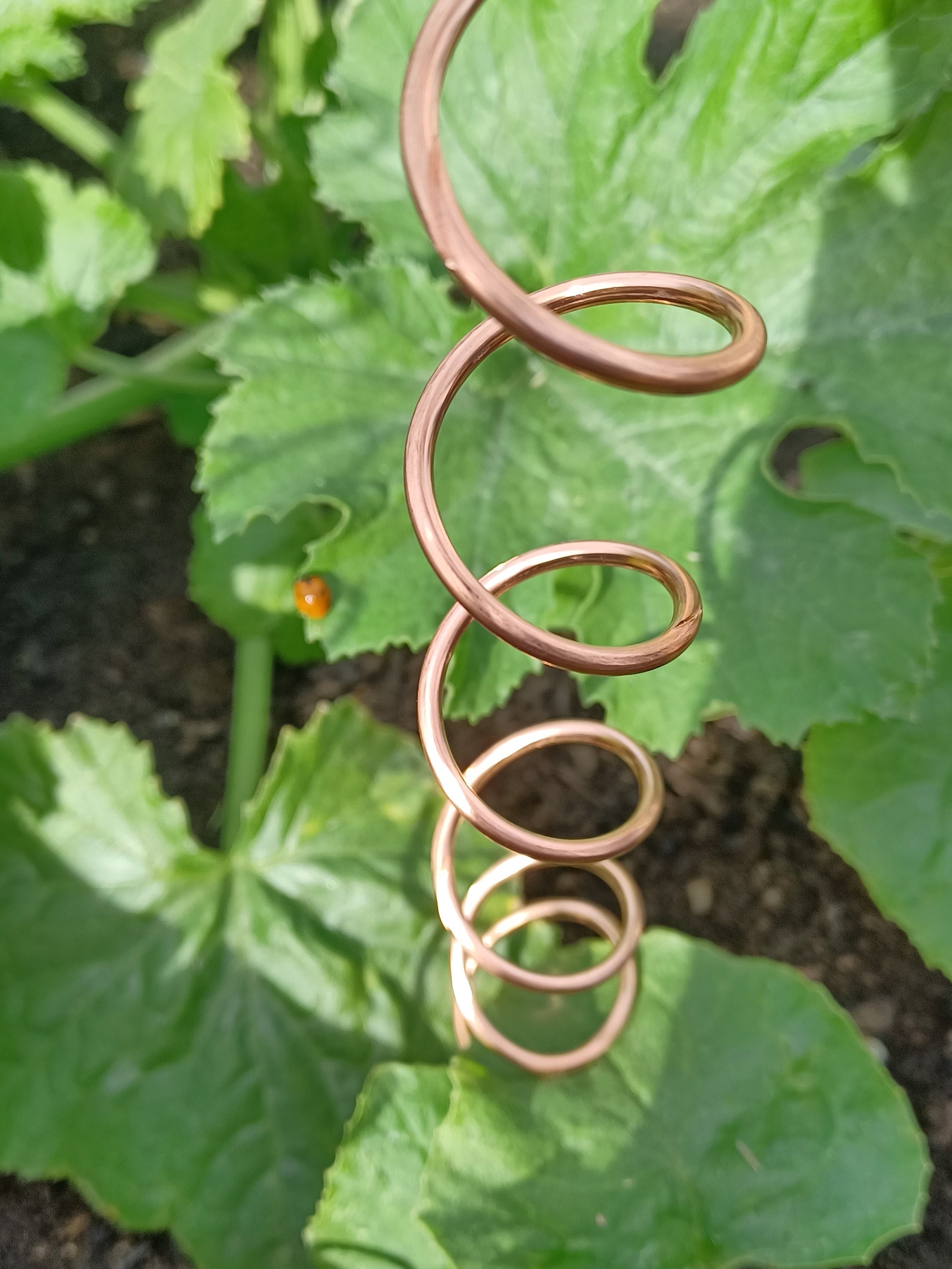 Electroculture Copper Spiral Antenna (12 Tight Coil) Garden Tool Decoration