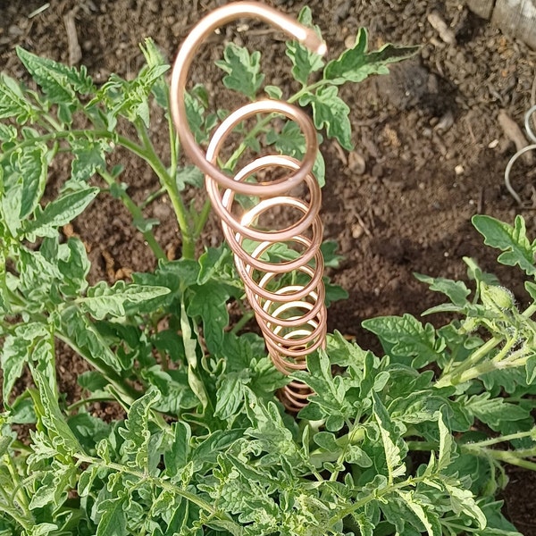 9 PACK XL electroculture copper garden stakes growing plants and vegetables with electro culture copper antenna coils, 4' of copper wire