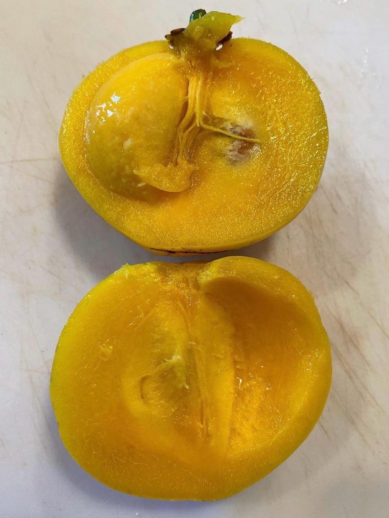 K&ouml;nnte beinhalten: Zwei H&auml;lften einer leuchtend gelben Frucht, m&ouml;glicherweise einer Mispel, aufgeschnitten, um das innere Fruchtfleisch und einen Samen freizulegen. Die Frucht hat eine glatte, leicht strukturierte Au&szlig;enseite und ein lebendiges, saftiges Inneres.