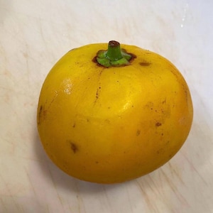 K&ouml;nnte beinhalten: Nahaufnahme einer reifen, gelben Frucht mit einem gr&uuml;nen Stiel und einer braunen Kappe. Die Frucht ist rund und hat eine glatte Oberfl&auml;che mit ein paar braunen Flecken. Die Frucht ist wahrscheinlich eine Art Zitrusfrucht.